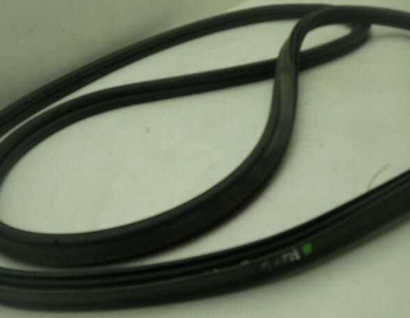 Door Seal BMW X1 (E84)