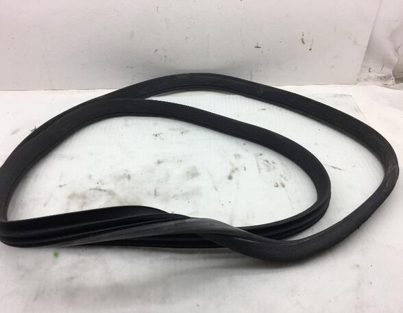 Door Seal MERCEDES-BENZ M-Klasse (W164)