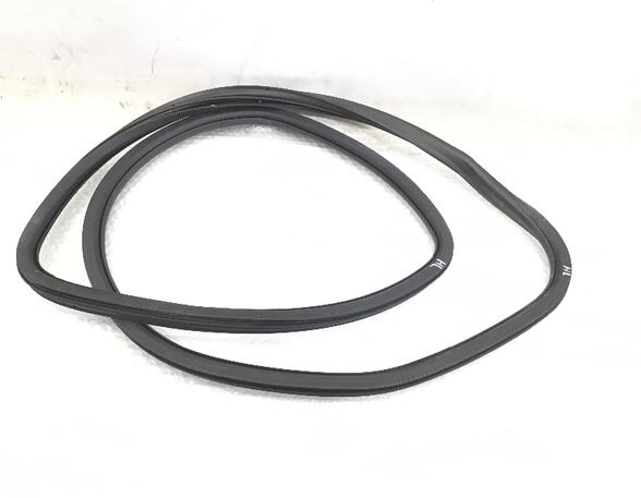 Door Seal SEAT Altea (5P1), SEAT Altea XL (5P5, 5P8), SEAT Toledo III (5P2)