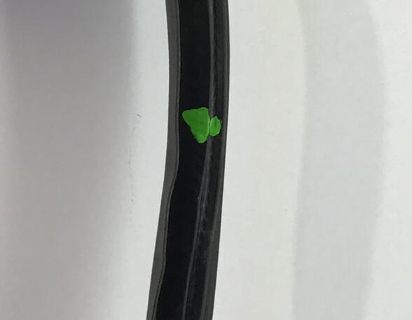 Door Seal SKODA ROOMSTER (5J7), SKODA ROOMSTER Praktik (5J)