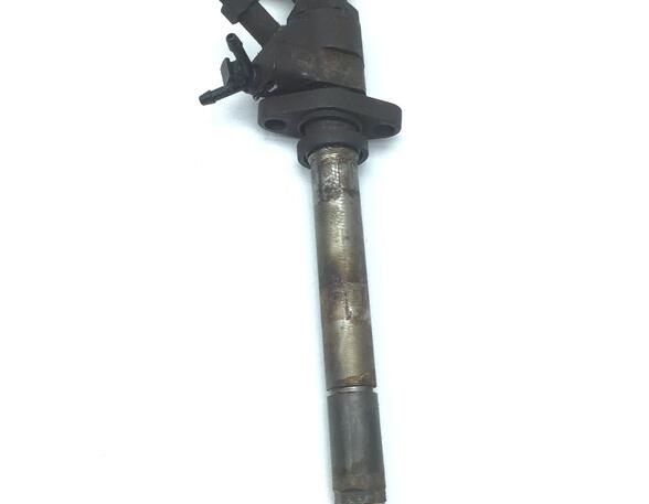 Injector Nozzle FORD FOCUS C-MAX (DM2), FORD C-MAX (DM2), FORD KUGA I, FORD KUGA II (DM2)