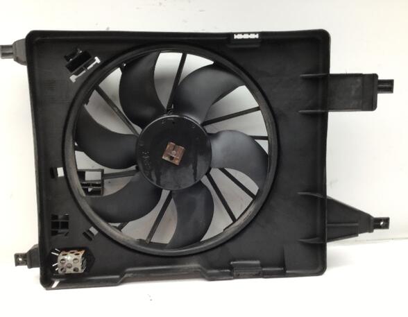 Radiator Electric Fan  Motor RENAULT MEGANE II Coupé-Cabriolet (EM0/1_)