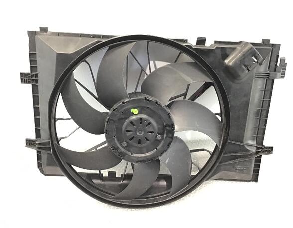 Radiator Electric Fan  Motor MERCEDES-BENZ C-CLASS (W203)