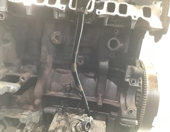 Bare Engine FIAT DUCATO Bus (250_, 290_)