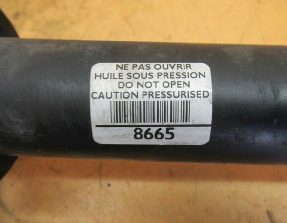 Suspension Strut PEUGEOT 407 SW (6E)