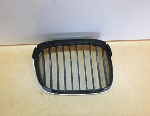 Radiator Grille BMW 5er (E39)