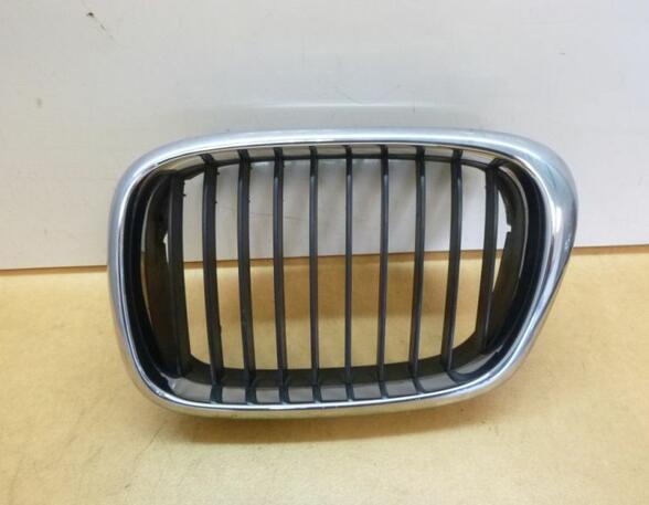 Radiator Grille BMW 5er (E39)