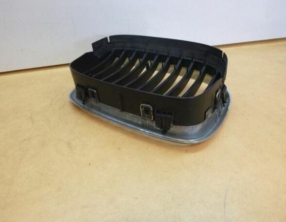 Radiator Grille BMW 5er (E39)