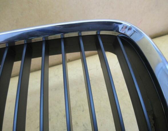 Radiator Grille BMW 5er (E39)