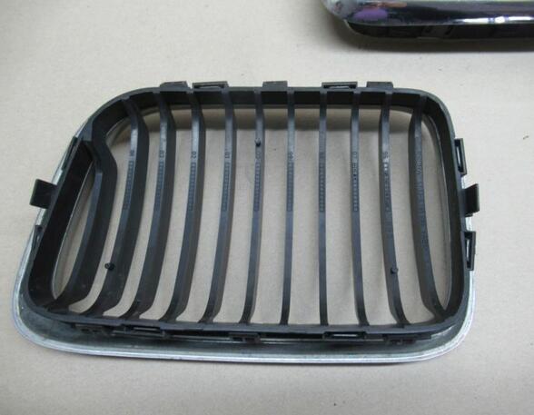 Radiator Grille BMW 3er Compact (E36)