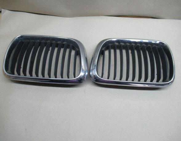 Radiator Grille BMW 3er Compact (E36)