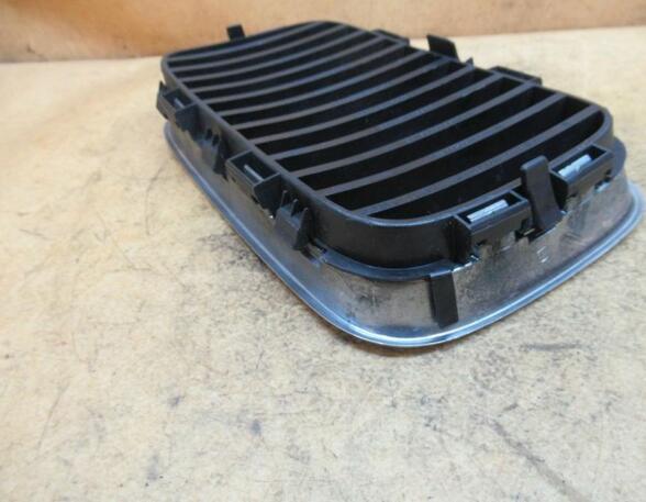 Radiator Grille BMW 3er (E36)