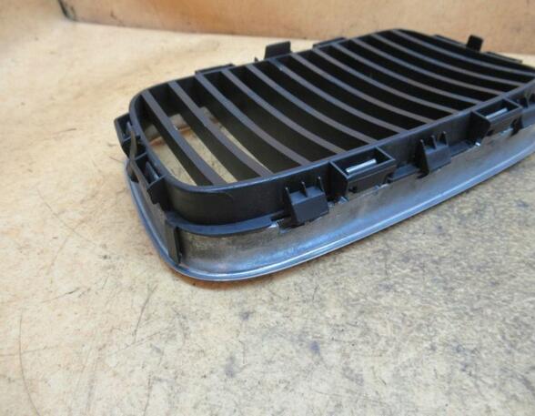 Radiateurgrille BMW 3er (E36)