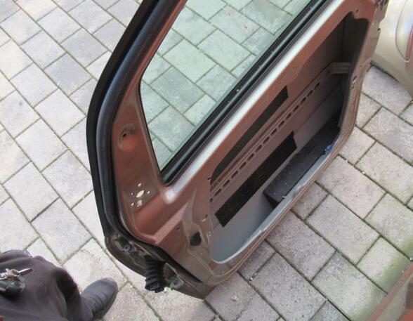 Door MERCEDES-BENZ A-CLASS (W169)