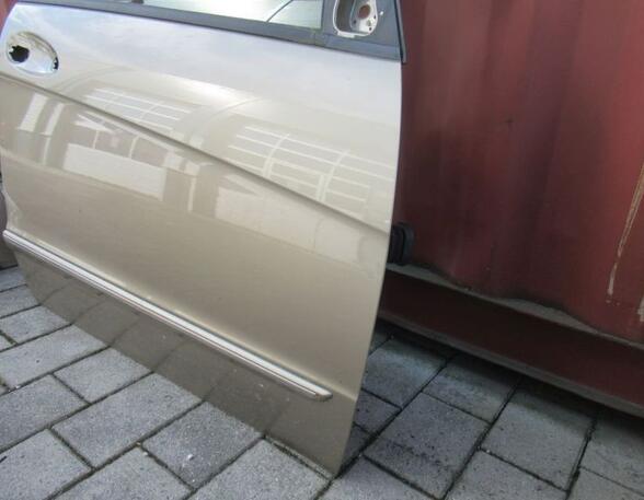 Door MERCEDES-BENZ A-CLASS (W169)