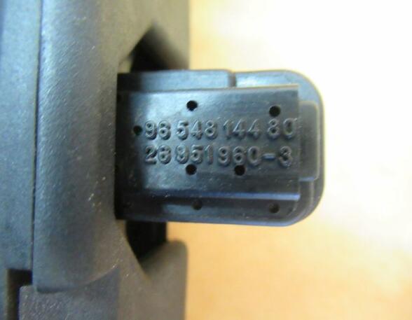 Ignition Coil PEUGEOT 207 (WA, WC)