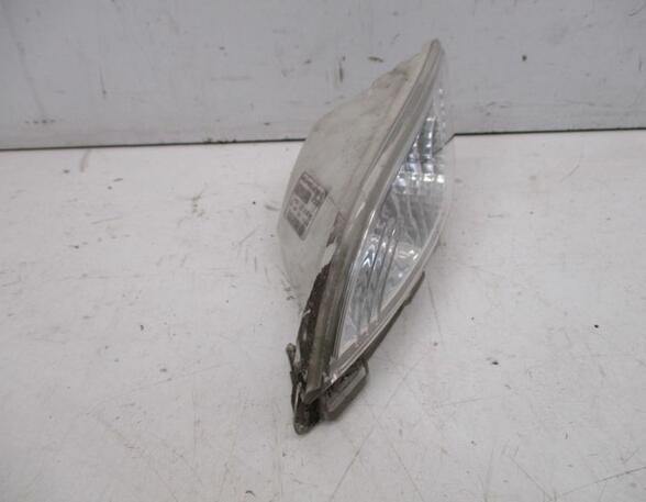 Direction Indicator Lamp RENAULT Twingo II (CN0)