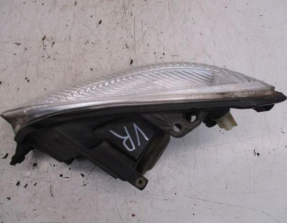 Headlight SKODA FABIA II (542)