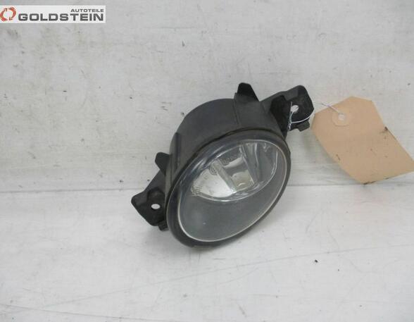 Fog Light RENAULT Clio III (BR0/1, CR0/1)