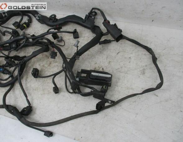 Engine Wiring Harness MERCEDES-BENZ A-Klasse (W169)