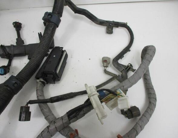 Engine Wiring Harness HONDA FR-V (BE)