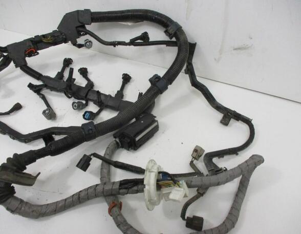 Engine Wiring Harness HONDA FR-V (BE)