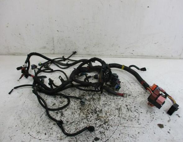 Engine Wiring Harness DACIA Sandero (--), DACIA Sandero II (--)