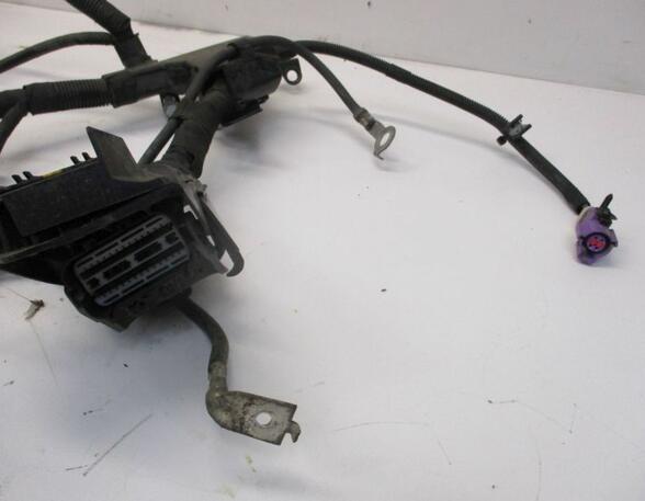 Kabel Motor Motorkabelbaum C14HDEZ FORD FIESTA VI 1.4 16V 66 KW