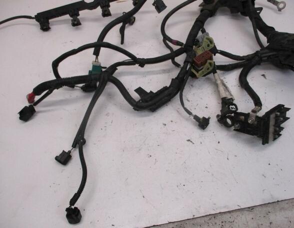 Kabel Motor Motorkabelbaum C14HDEZ FORD FIESTA VI 1.4 16V 66 KW