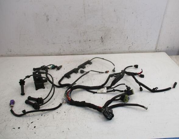 Engine Wiring Harness FORD FIESTA VI (CB1, CCN)