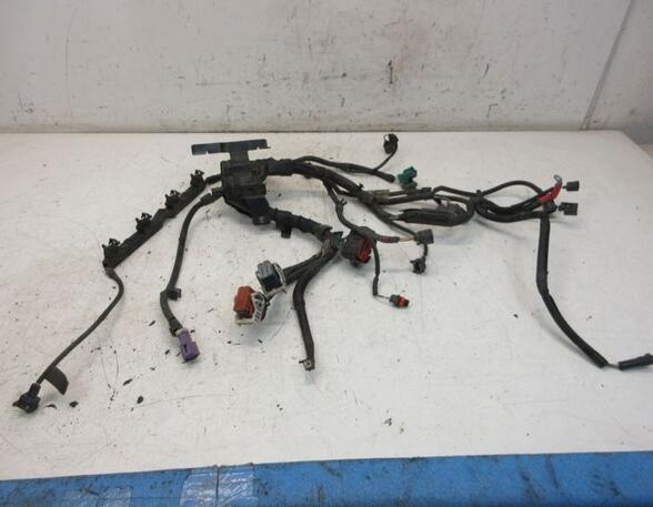 Kabel Motor Motorkabelbaum SPJE C14HDEZ FORD FIESTA VI 1.4 71 KW