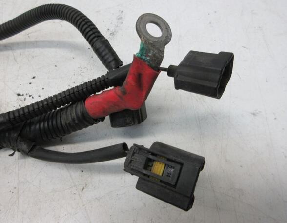 Kabel Motor Motorkabelbaum SPJE C14HDEZ FORD FIESTA VI 1.4 71 KW