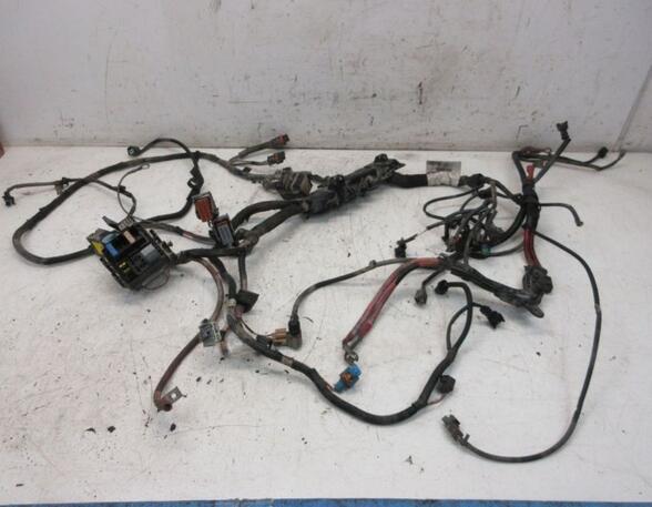 Engine Wiring Harness RENAULT MEGANE III Hatchback (BZ0/1_, B3_)