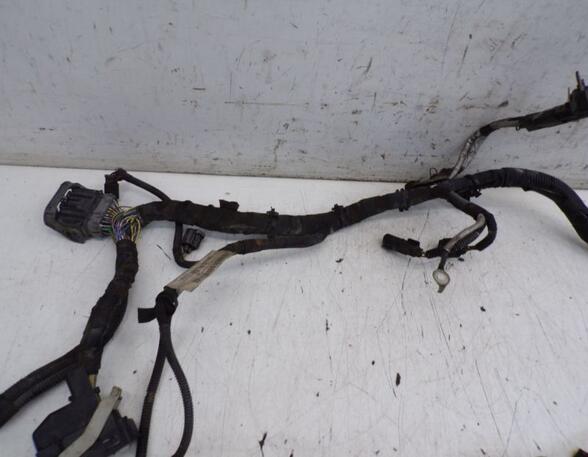 Engine Wiring Harness FORD B-MAX (JK)