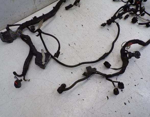 Engine Wiring Harness FORD B-MAX (JK)