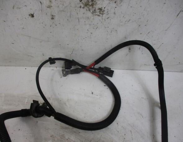 Wiring Harness MINI Mini (R56)