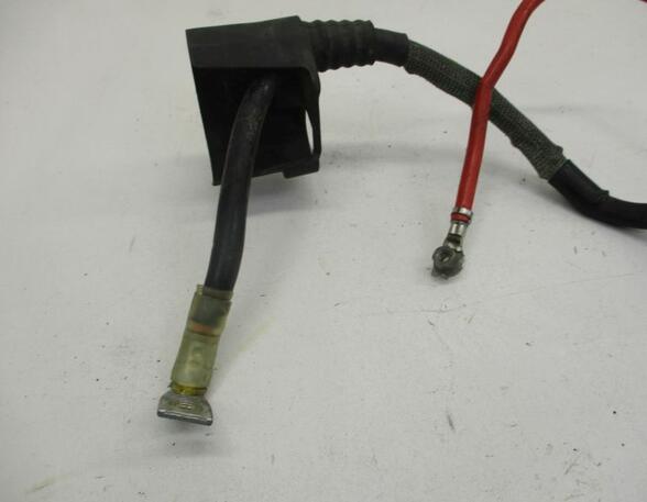 Wiring Harness AUDI A3 (8P1), AUDI A3 Sportback (8PA)