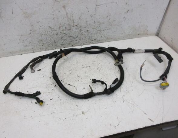 Wiring Harness PEUGEOT 207 (WA_, WC_)