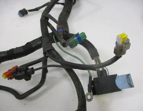 Wiring Harness CITROËN C4 GRAND PICASSO I (UA_), CITROËN C4 PICASSO I MPV (UD_)