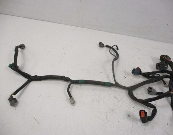 Wiring Harness CITROËN C4 GRAND PICASSO I (UA_), CITROËN C4 PICASSO I MPV (UD_)