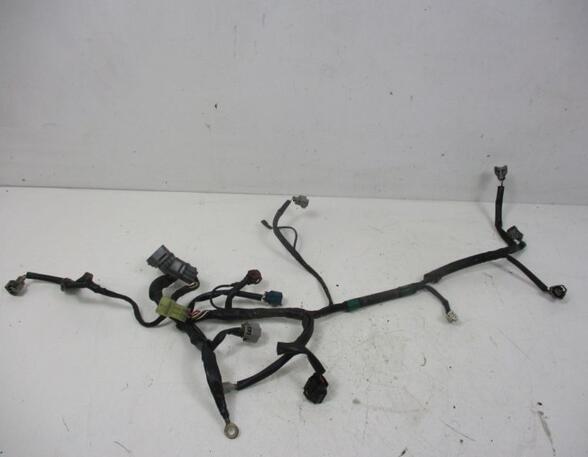 Wiring Harness CITROËN C4 GRAND PICASSO I (UA_), CITROËN C4 PICASSO I MPV (UD_)