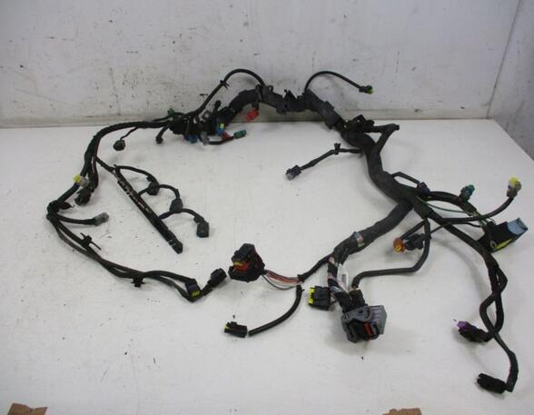 Wiring Harness CITROËN C4 GRAND PICASSO I (UA_), CITROËN C4 PICASSO I MPV (UD_)