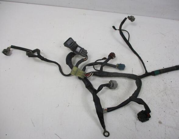 Wiring Harness CITROËN C4 GRAND PICASSO I (UA_), CITROËN C4 PICASSO I MPV (UD_)