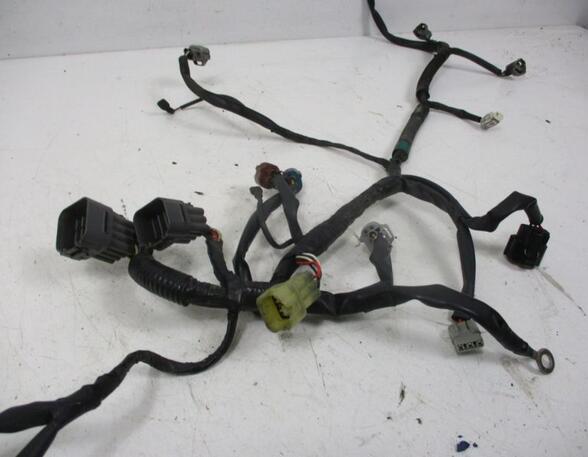 Wiring Harness CITROËN C4 GRAND PICASSO I (UA_), CITROËN C4 PICASSO I MPV (UD_)