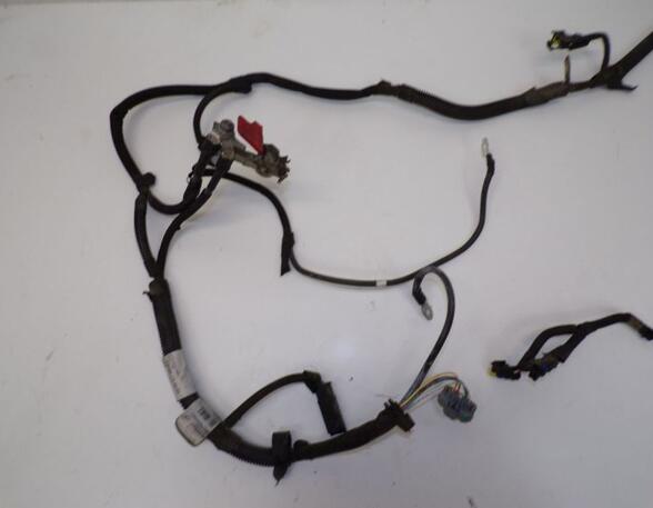 Wiring Harness CITROËN C3 PICASSO (SH_)