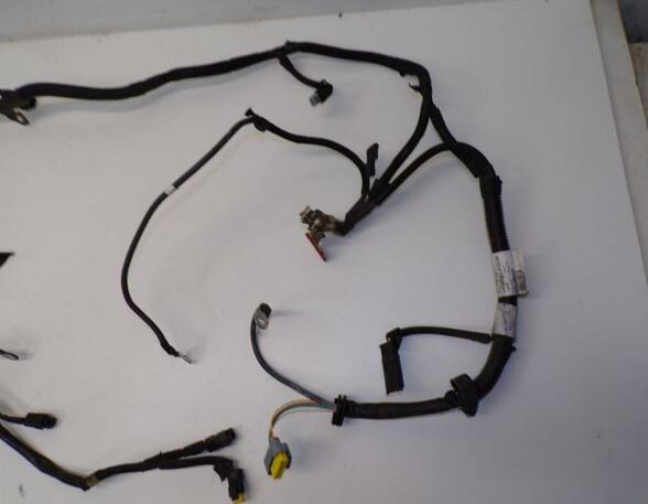 Wiring Harness CITROËN C3 PICASSO (SH_)