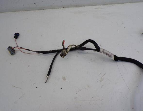 Wiring Harness CITROËN C4 GRAND PICASSO I (UA_), CITROËN C4 PICASSO I MPV (UD_)