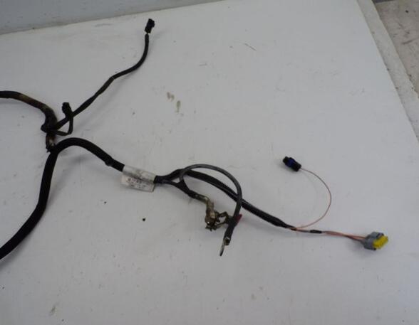 Wiring Harness CITROËN C4 GRAND PICASSO I (UA_), CITROËN C4 PICASSO I MPV (UD_)