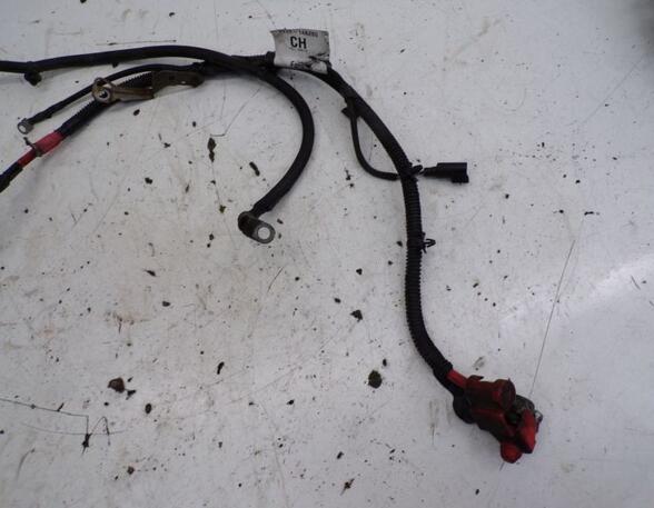 Wiring Harness FORD TRANSIT CONNECT (P65_, P70_, P80_)