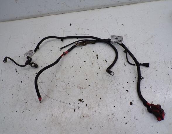 Wiring Harness FORD TRANSIT CONNECT (P65_, P70_, P80_)